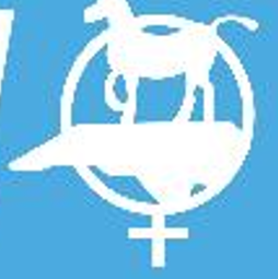 Democratic Women of Guilford County