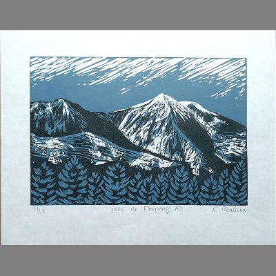 près de Flagstaff AZ item