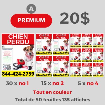 Forfaits Premium A (30x no1, 15x no2, 5x no4) 50 feuilles item
