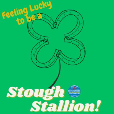 Lucky to be a Stallion (Adult 2XL) item