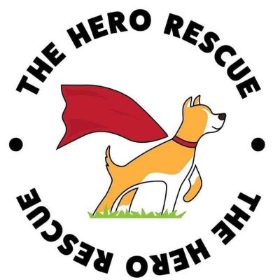 The Hero Rescue