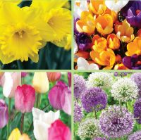 INSTANT SPRING GARDEN - (72 bulbs) item