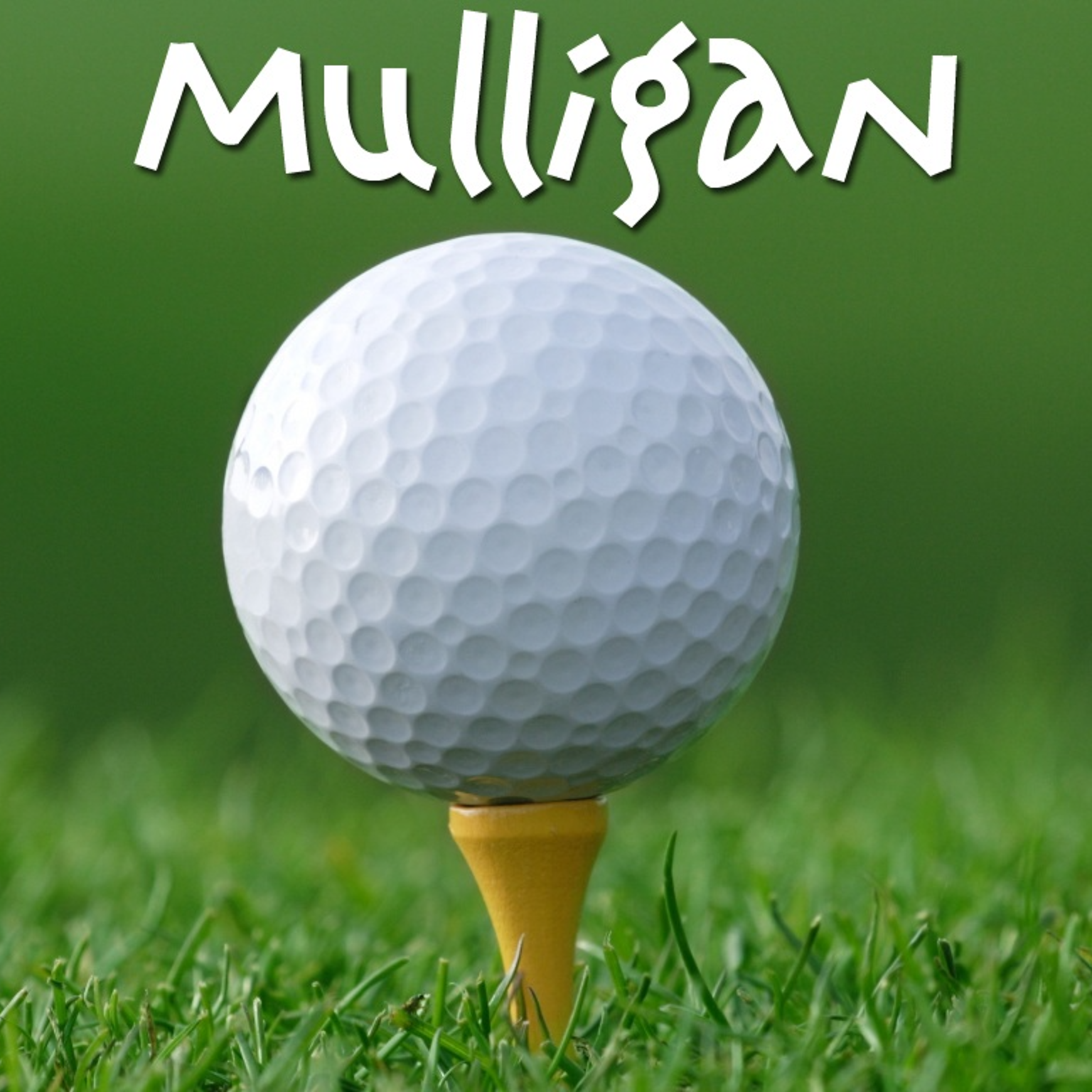 Mulligans 4 for $20 item