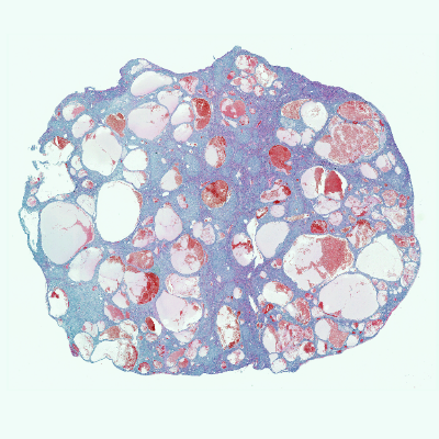 18. Paysage lunaire item