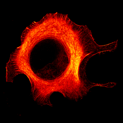 6. Cellular black hole item