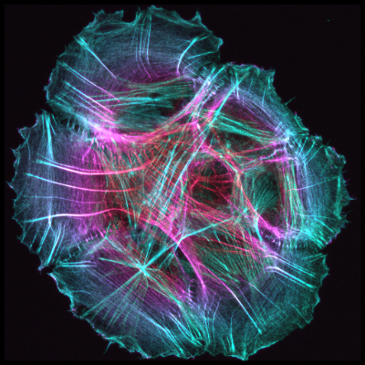 22. Light trails item