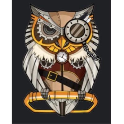 Innovation Montessori PTO OWLS