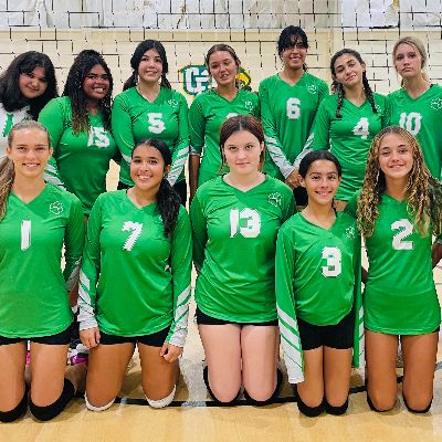 Volleyball Mini Camp item