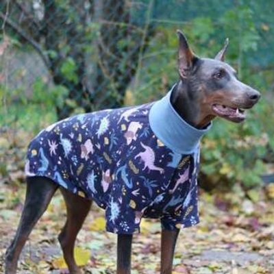 Greater Twin cities DPC