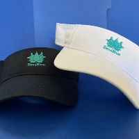 Zen4Blue Logo Visor item