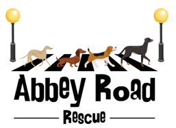 Abbey Road Canine Rescue