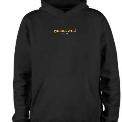 Hoodie (floquage non compris) item