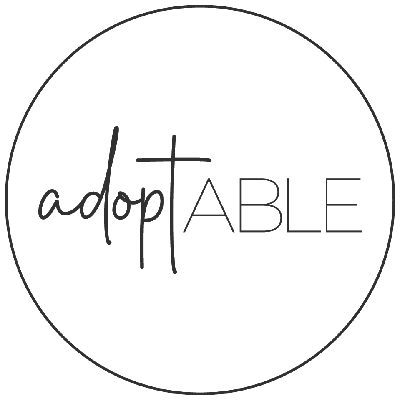 Application Fee item