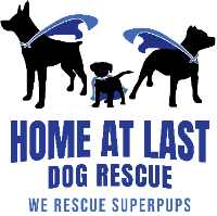 Home at Last Dog Rescue