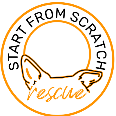 Start from Scratch Rescue
