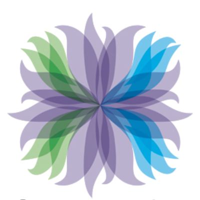 Women's Healthy Environments Network