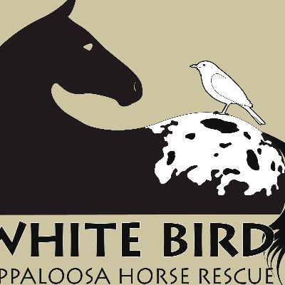 White Bird Appaloosa Horse Rescue