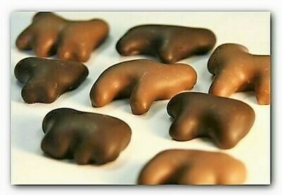 MILK Chocolate Covered Animal Crackers item