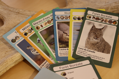 Jeu des 7 écosystèmes item