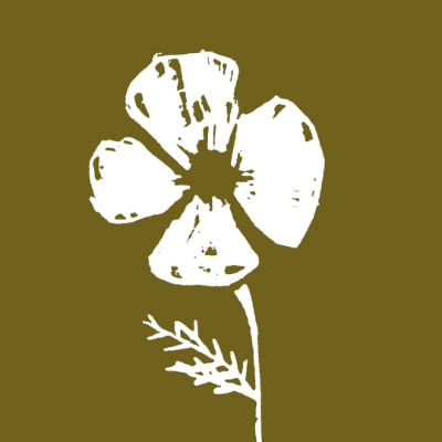 Nurture Birth Cooperative