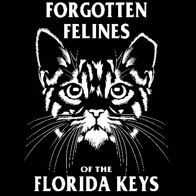 Forgotten Felines of the Florida Keys