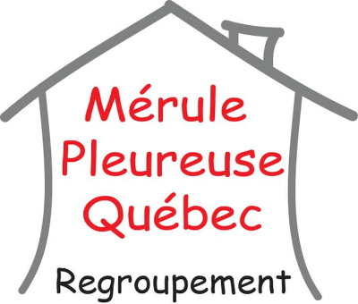 Mérule Québec