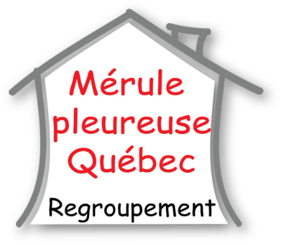 Mérule Québec