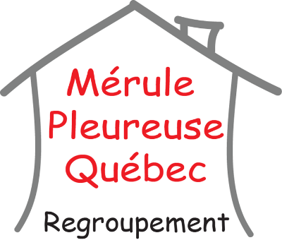 Mérule Québec