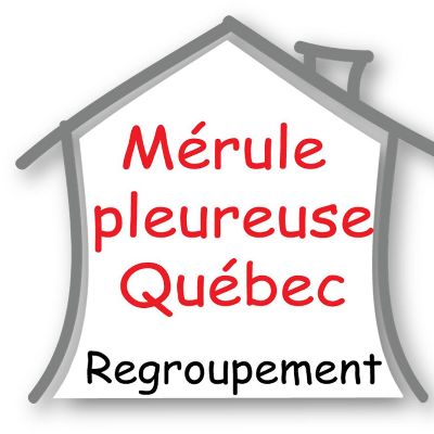 Mérule Québec