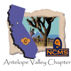 NCMS Antelope Valley Chapter