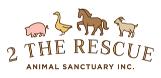 2 The Rescue Animal Sanctuary