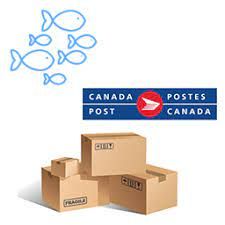 Canada Post Shipping item