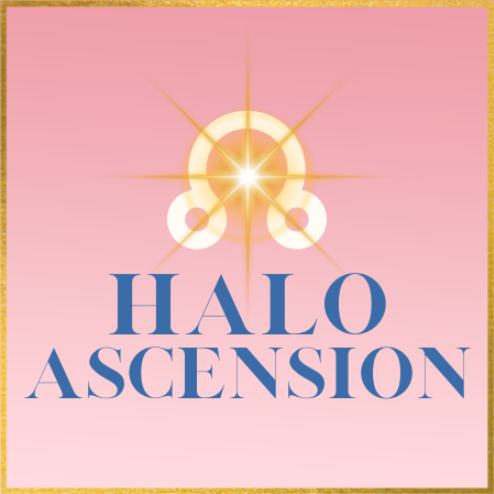 Halo Ascension INC