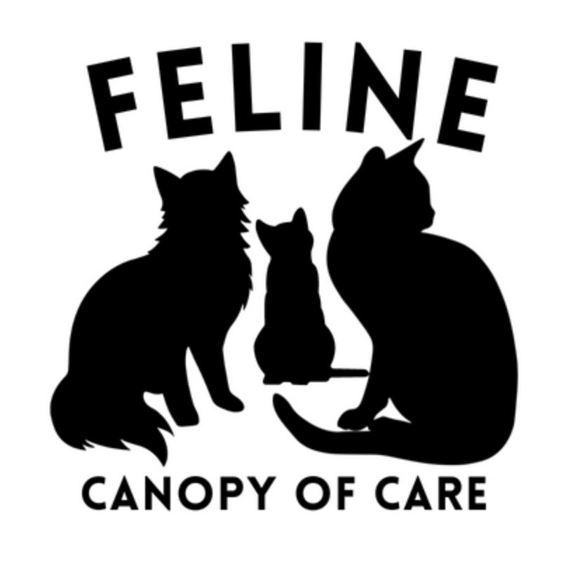 Feline Canopy of Care, Inc.