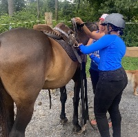 Great Strides Equestrian Foundation