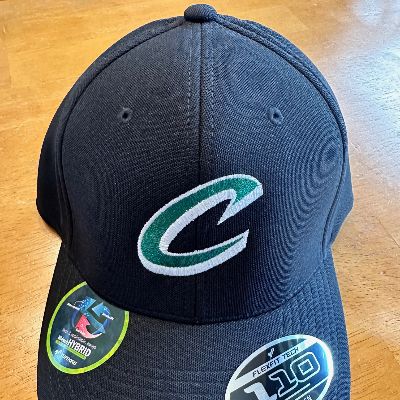 Black Regular Fit Adjustable Hat item