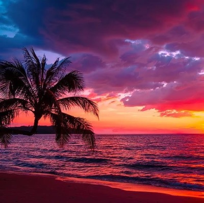 Homeschool Teens of COS