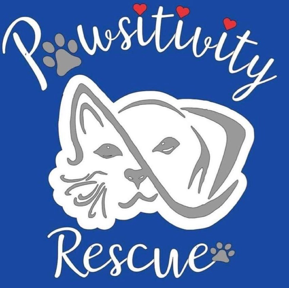 Pawsitivity Rescue Inc