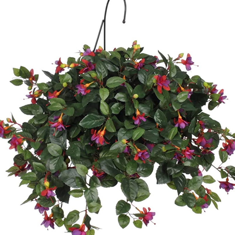 Fuchsia Hanging Plant item