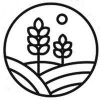 Apostolic Assembly of the Faith in Christ Jesus