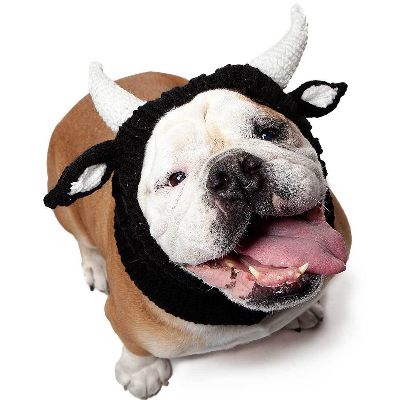Pups for Prevention Contest Entry item