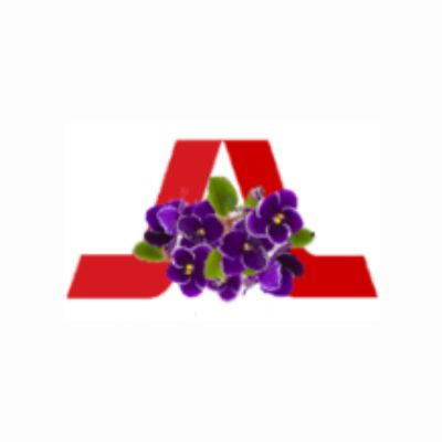 Arlington Alumnae Chapter, DST