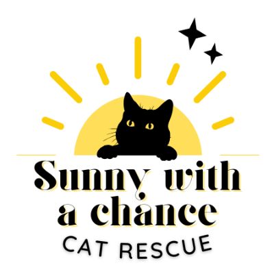 Sunny With a Chance Rescue