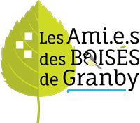 Les Ami.e.s des boisés de Granby