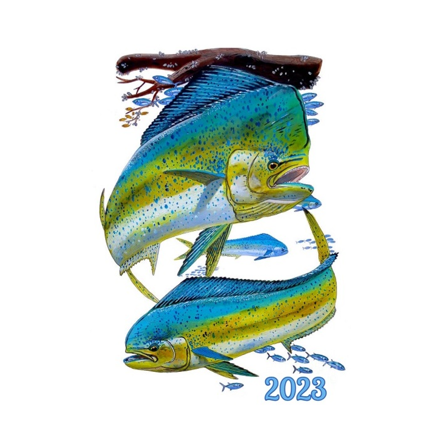 Ladies Tank Top item