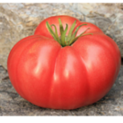 Tomates Brandywine Heirloom item