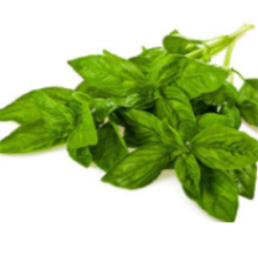 Basilic genovese item