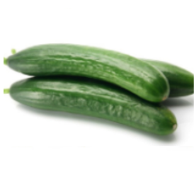 Concombre libanais item