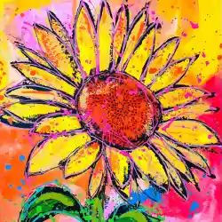 Stop The Judgment Project