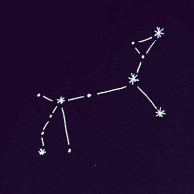 The Dog Star Orchestra